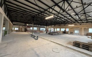 Hală 1144 mp I Compartimentabil I Utilități I Birouri I Mârșa - Poză 3