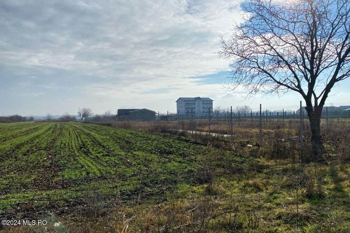 Afumati - Str. Iasomiei, 2409 MP, stradal, intravilan, deschidere 12 m - Poză 4
