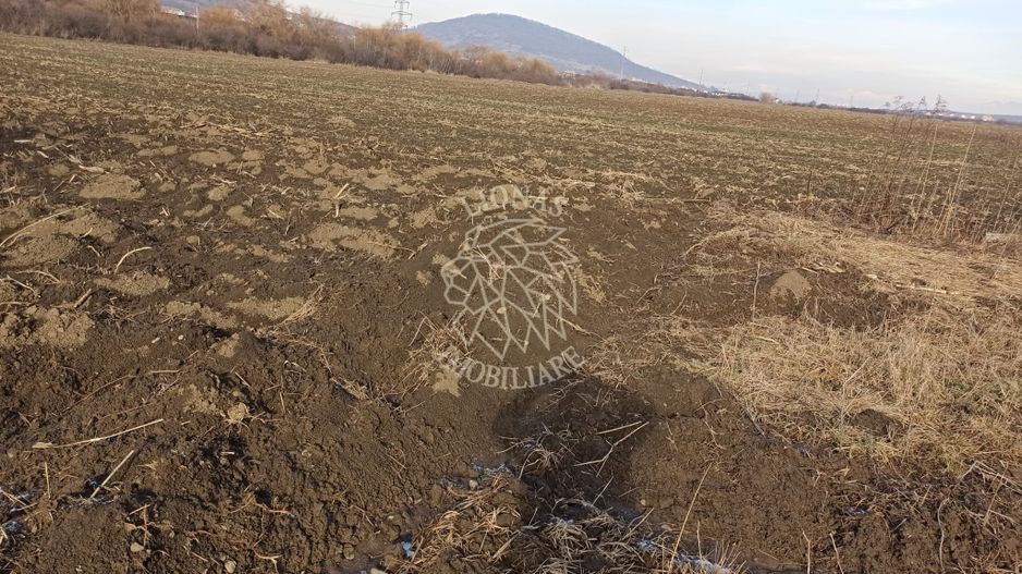 Teren intravilan 1800 mp+proiect casa-utilitati-Sarata - Poză 2