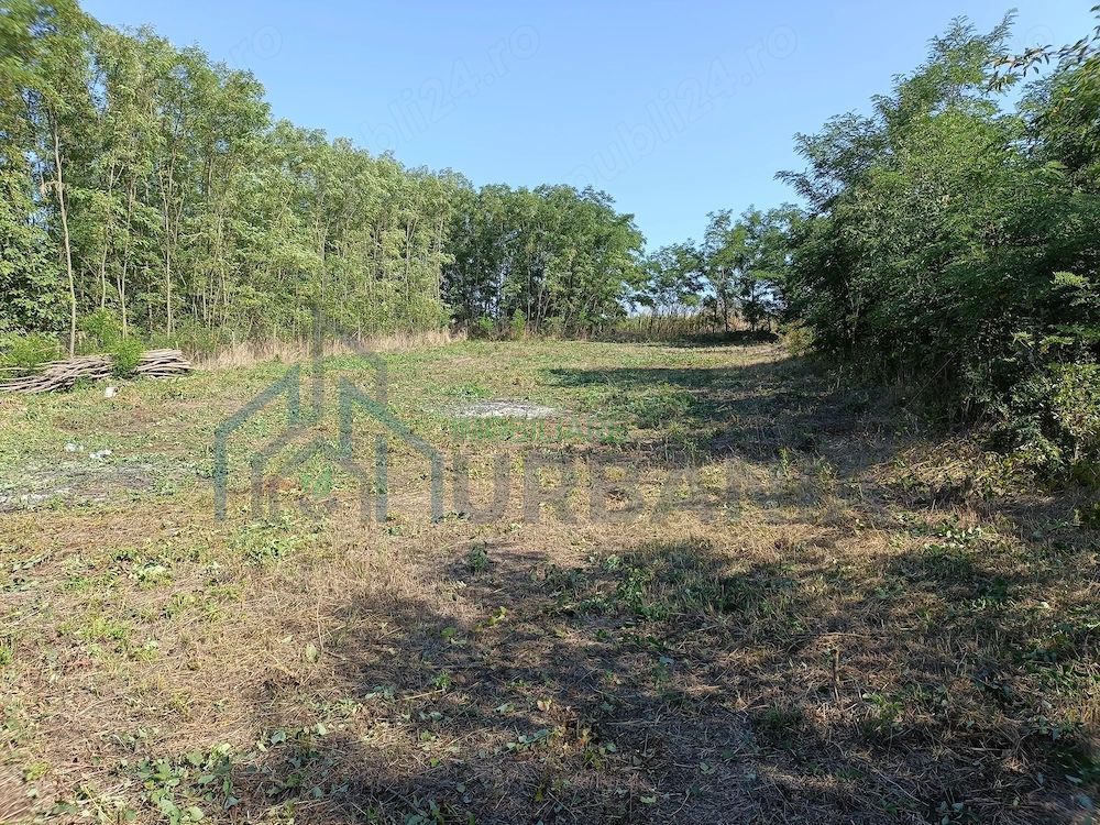 Casă renovată, Romanesti, Iași – 3 camere, 50 mp utili, teren 3240 mp - Poză 5