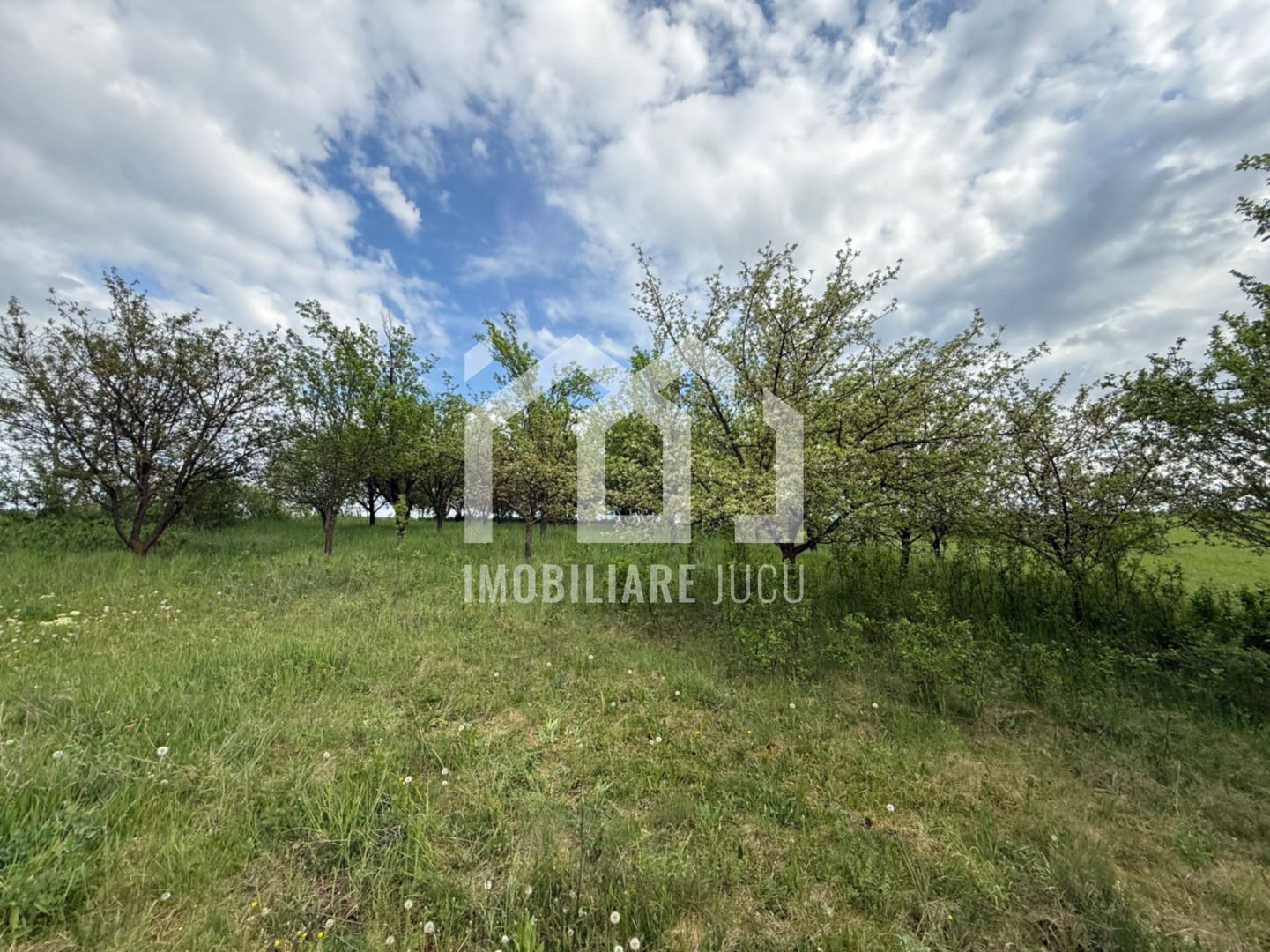 Teren intravilan construibil – 2.100 mp | Căianu - Poză 7