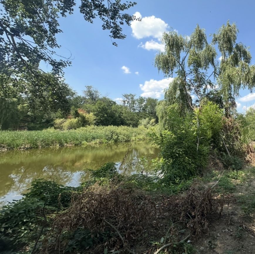 TEREN PIPERA CU DESCHIDERE LA LAC - Poză 2