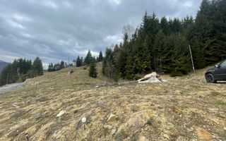 Teren parcelabil cu acces rapid la lacul Colibita - Poză 9