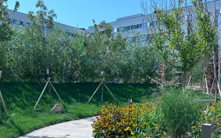 Apartament 3 camere Sectorul 1 - Lângă Lacul Străulești - Poză 19