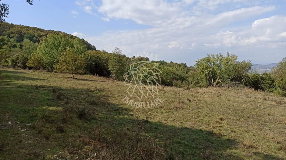 Teren  42,200 mp (4,22 hectare)-Parcelabil-investitie-Valea Jelnei - Poză 2