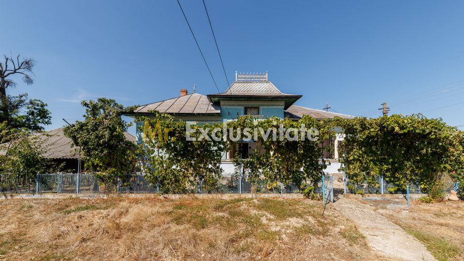 CASA SI GOSPODARIE DE VANZARE – SPINENI, OLT | 4.000 MP TEREN - Poză 12
