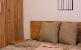 Apartament 2 camere I Parter I Constructie Noua I Turnisor - Poză 7