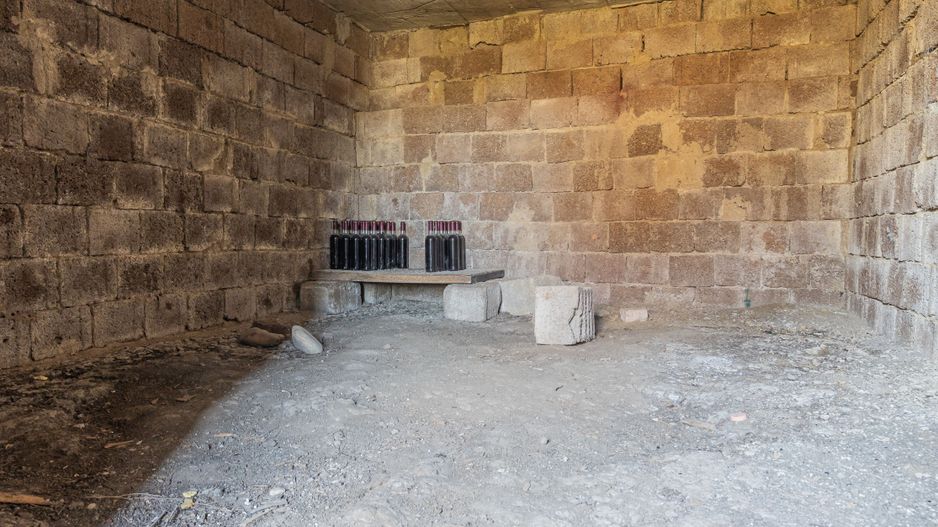 Casă spațioasă cu potențial de renovare și personalizare, în Viișoara - Poză 22