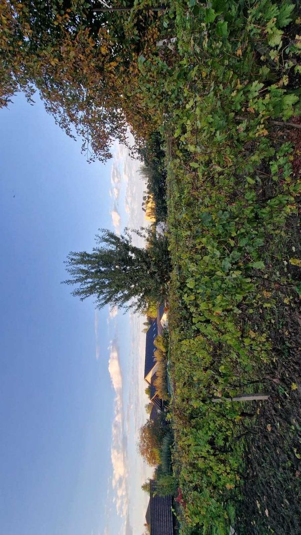 Casa de Vinzare mobilata gata de mutat - Poză 6