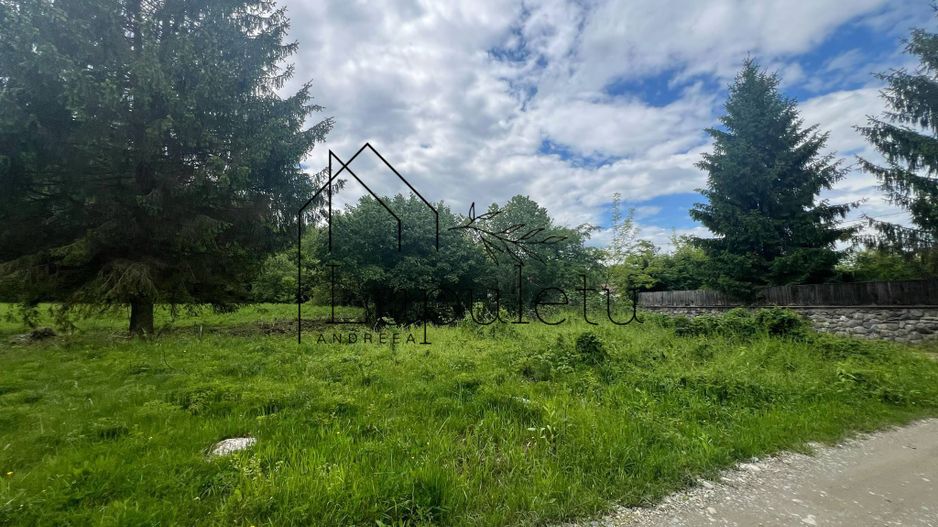 Teren Intravilan – 2.700 mp | Valea Avrigului | Zonă turistică deoseb - Poză 3