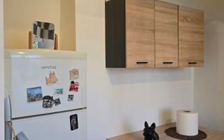 De vanzare apartament 1 camere, zona Medicinei - Poză 4