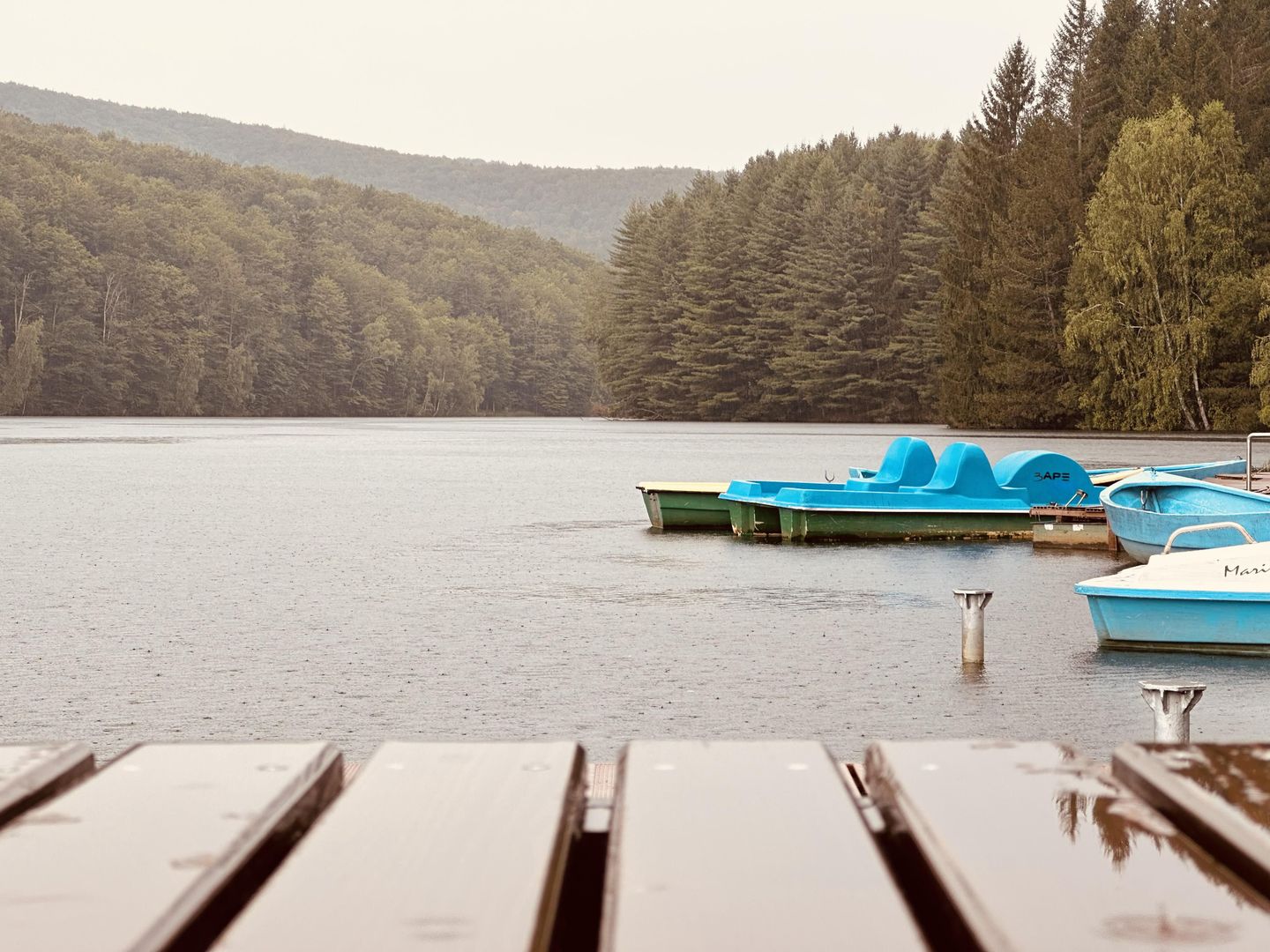 Un teren de vis cu deschidere la Lacul Trei Ape, Brebu Nou | Com 0% - Poză 9