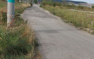 Teren | 10,000 MP | Extravilan | Posibilitate de parcelare | Cristian - Poză 3