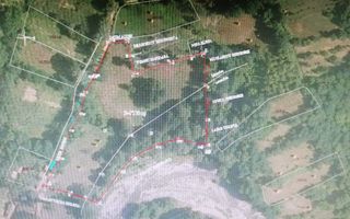 Teren in Comuna Muereasca_suprafata 7489 mp_mixt_situat la 170 m de Primarie - Poză 3