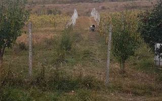 Teren intravilan de vânzare - 6200mp, pădure în apropiere - Poză 1