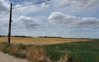 Teren Extravilan Episcopia - Poză 3