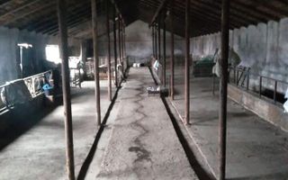 Casa P+1, 200 mp utili,Hala nr 1, 350 mp,Hala nr 2,250 mp,Teren 14000 mp,zona Vladeni,pret negociabil - Poză 4