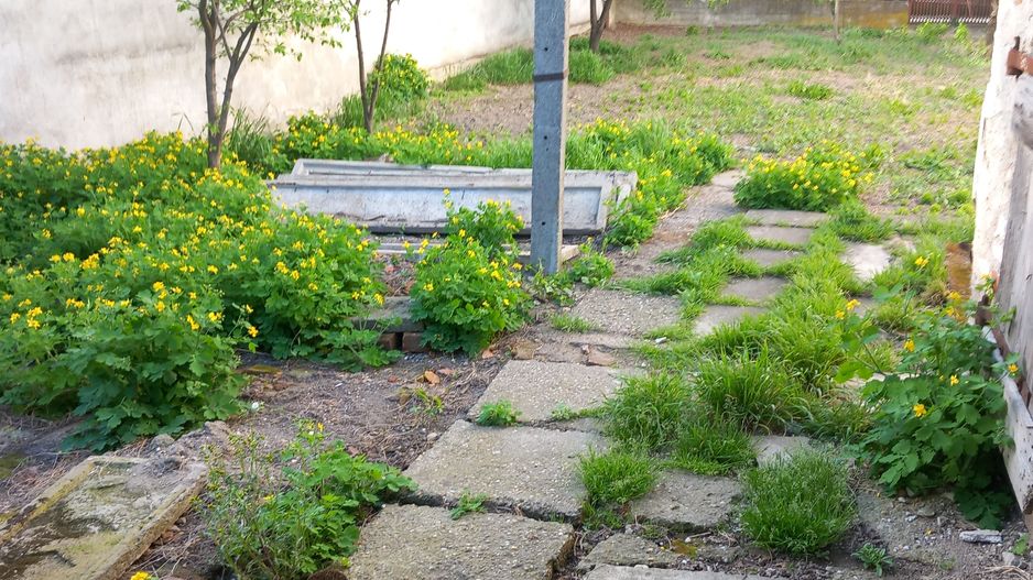 Ag BRASADAS vinde casa cu 2 cam teren 4.86 ari în zona SEMICENTRALA. - Poză 4