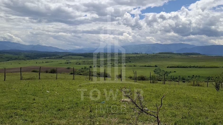 De vanzare, teren 11.500 mp – Dealul Dăii,  Vedere panoramică spre munți și lac - Poză 5