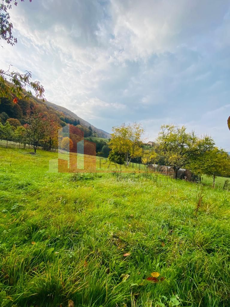Casa + teren 1700 mp langa Padure Bran/ Predelut - Poză 5