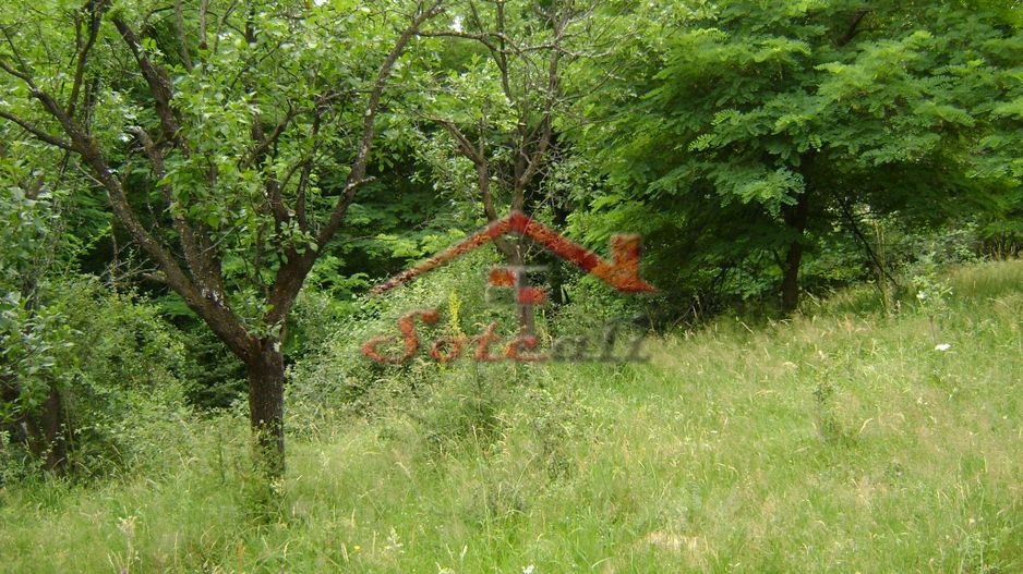 Teren de vanzare Cornu 3074 mp - Poză 7