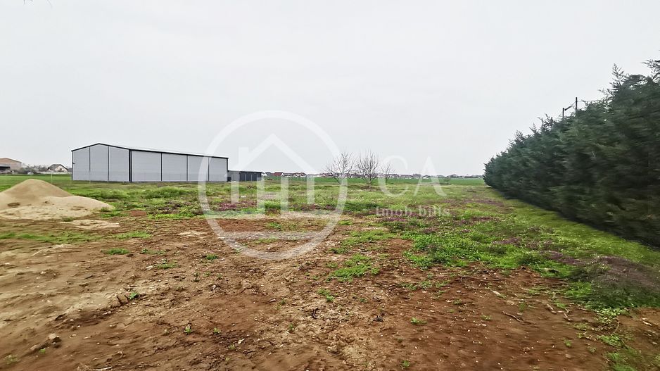 Teren intravilan de inchiriat in Santandrei, Bihor - Poză 3