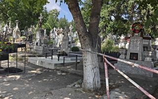 Loc de veci în Cimitirul Sfânta Treime Păcurari, Iași - Poză 4