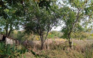 🏡  Casă de Poveste în Șiria, Arad- Locație Rară - Poză 13