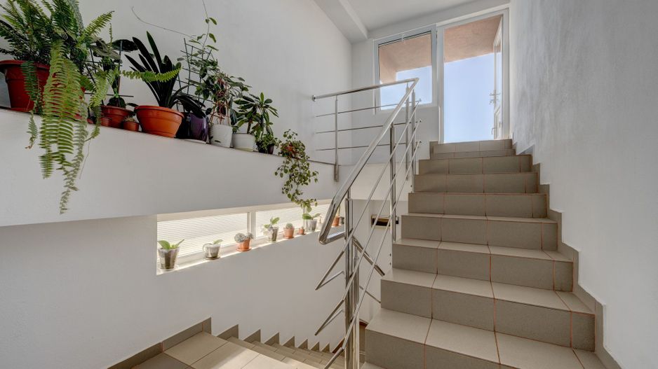 SI CASA SI AFACERE totul sub același acoperiș in Sector 5/Sălaj - LIDL - Poză 58