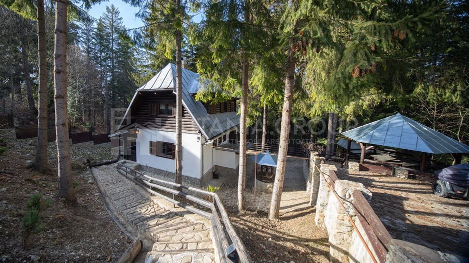 Vila superba mobilata si utilata, Cioplea - Predeal, langa padure - Poză 6