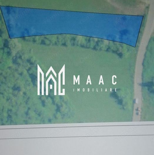 Oportunități de Investiție în Terenuri Sebesul de Sus - Poză 3