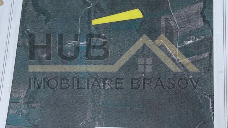 Oportunitate Investitie | Panicel - Rasnov | Extravilan | 29.300mp - Poză 6