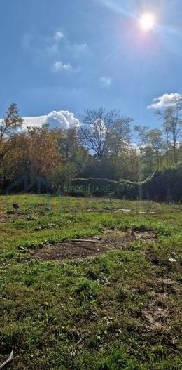 Teren intravilan 5000 mp cu front stradal 50 mp, zona Bucium, Iași - Poză 1