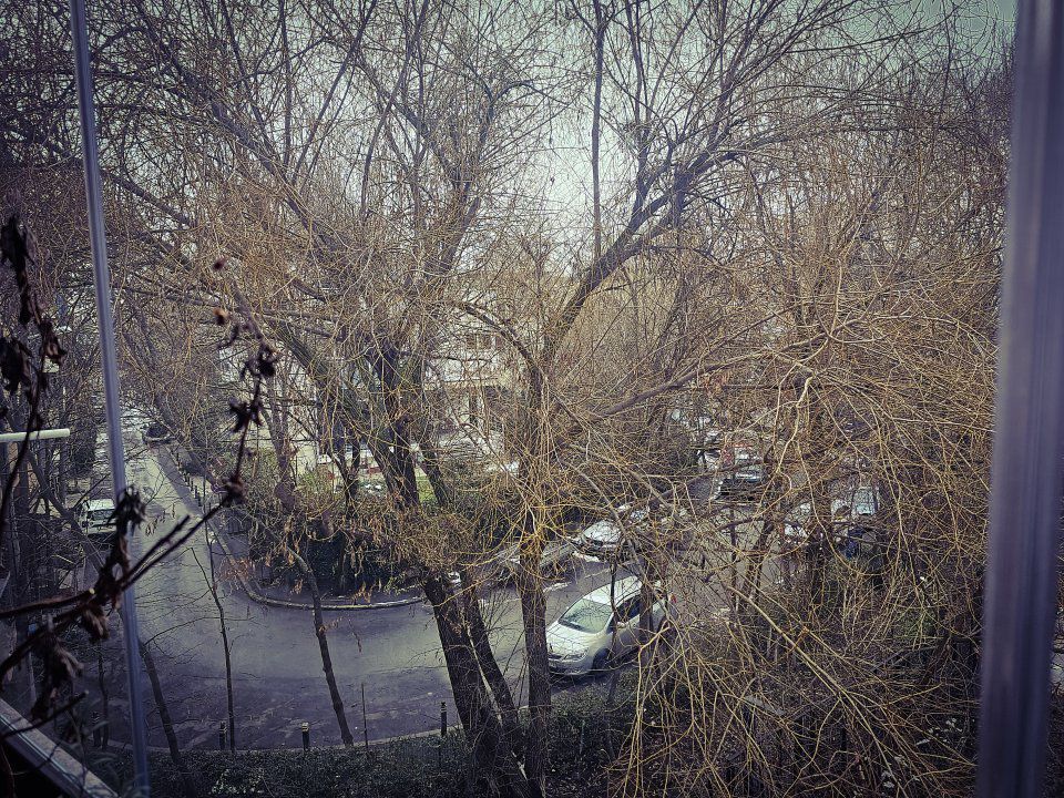 Apartament 3 camere Herastrau parc - Poză 12