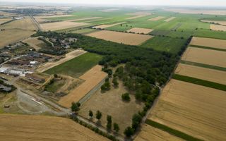 Teren intravilan Şofronea - Poză 4