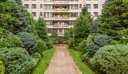 North Area Lake View