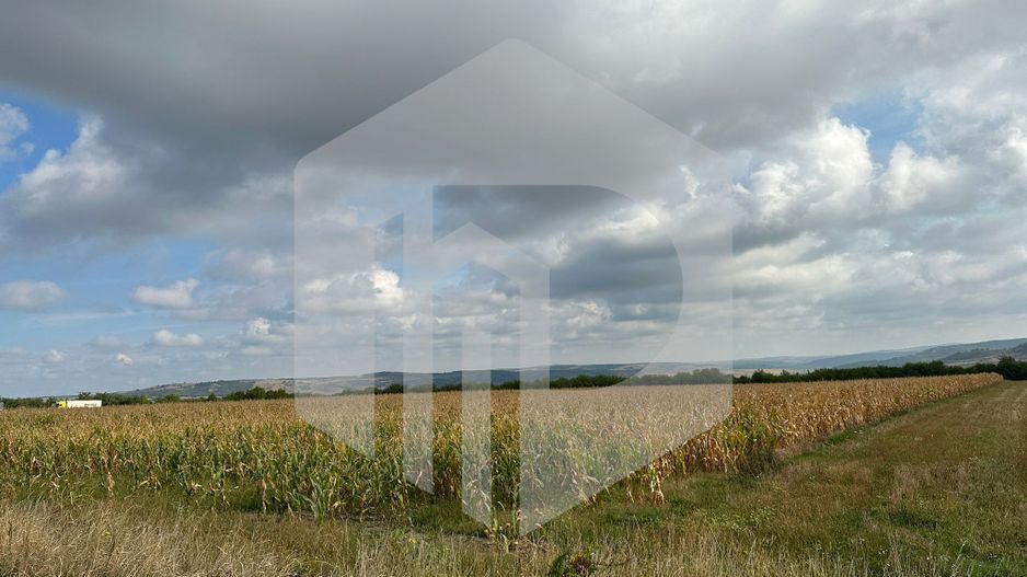 Teren cu deschidere la DN | 10.000 mp | Apoldu de Sus | Intravilan - Poză 4