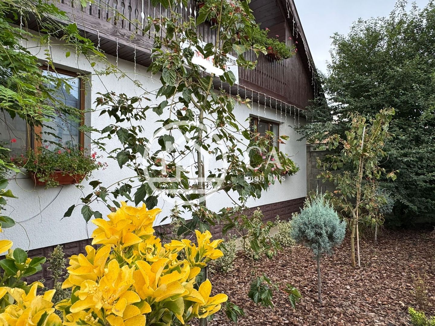 Casă de vânzare cu 4 camere si teren de 1000 mp in Salard, Bihor - Poză 2