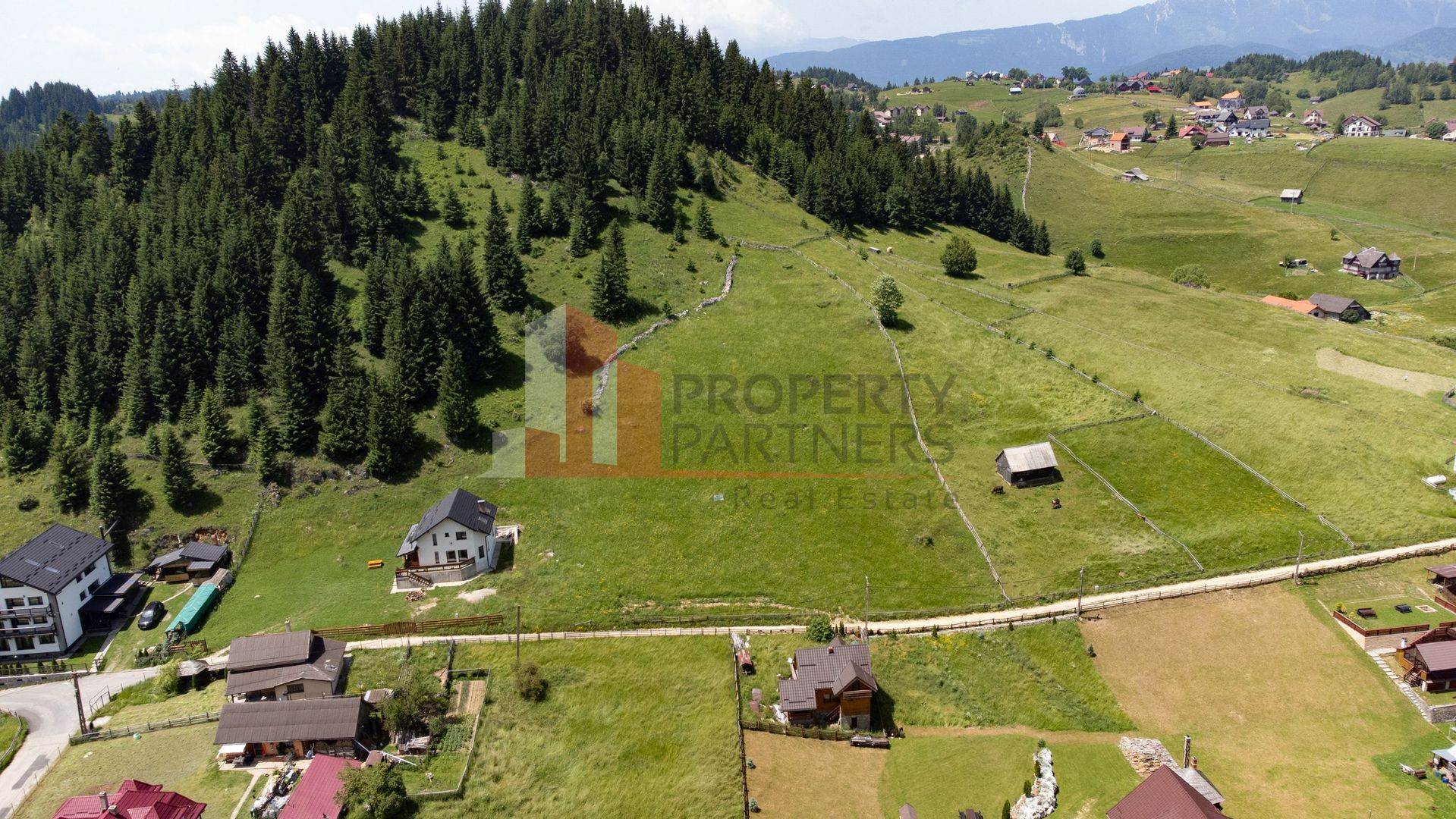 Teren Fundatica intravilan 4500 mp - Poză 4