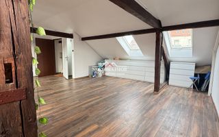 NECTORA IMOB-Spatiu comercial P+M, Ultracentral, Zona Piața Ferdinand - Poză 5