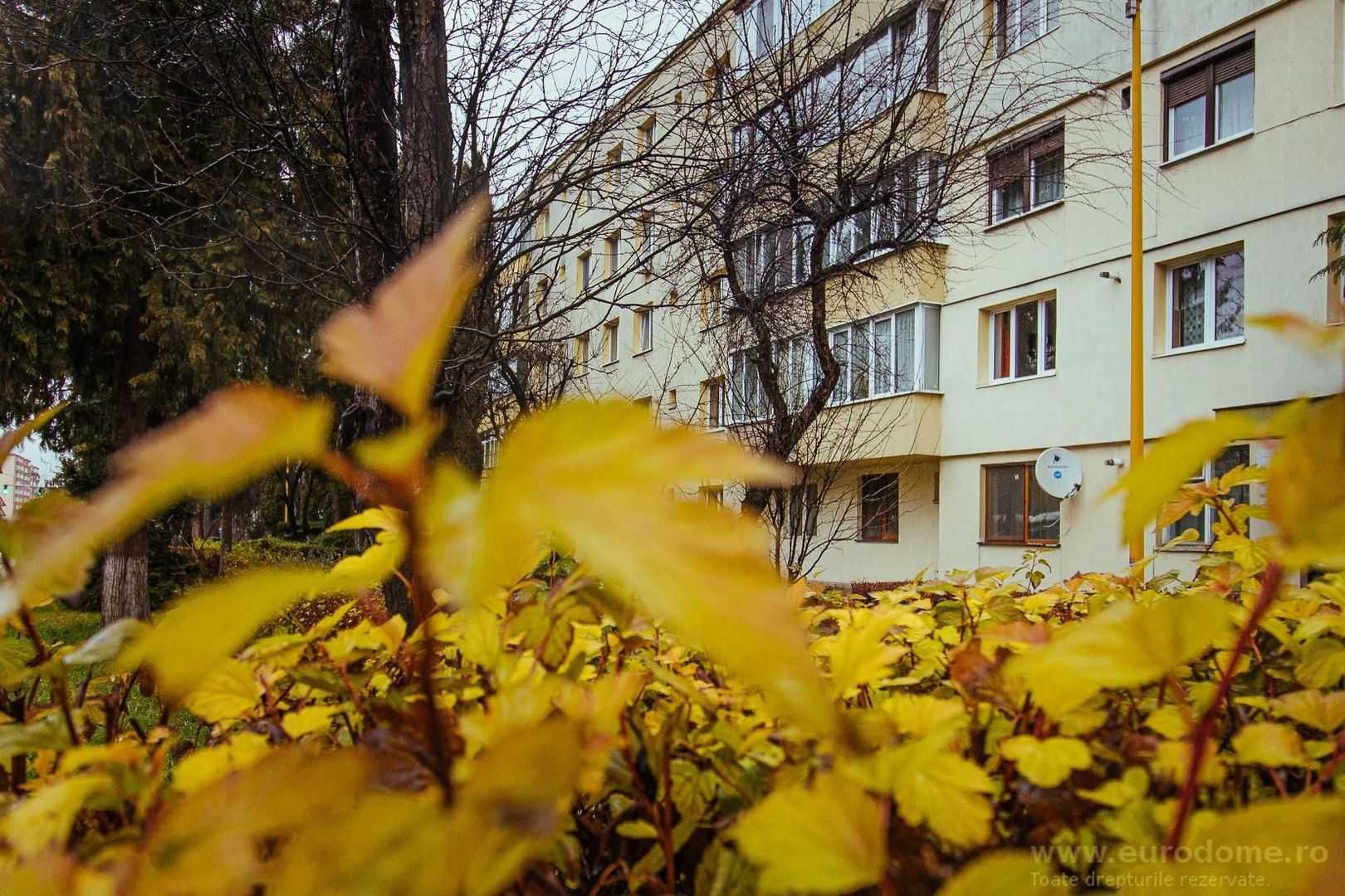 Exclusivitate - Zona Somesul, Calea Bucuresti, 2 camere - Poză 1