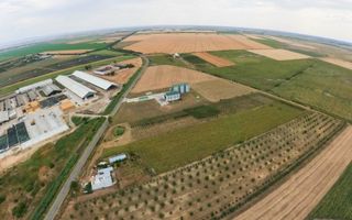 Livadă de 3,6 hectare în Iratoșu – Oportunitate - Poză 6
