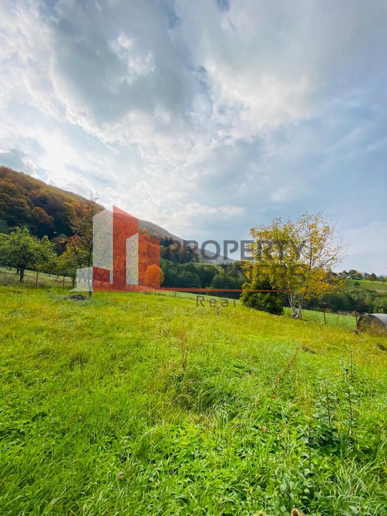 Casa + teren 1700 mp langa Padure Bran/ Predelut - Poză 2