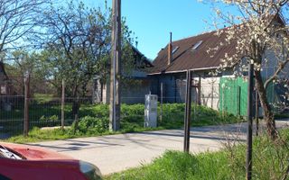 Teren intravilan 2927 mp - com. Domnesti sat Teghes - Poză 8