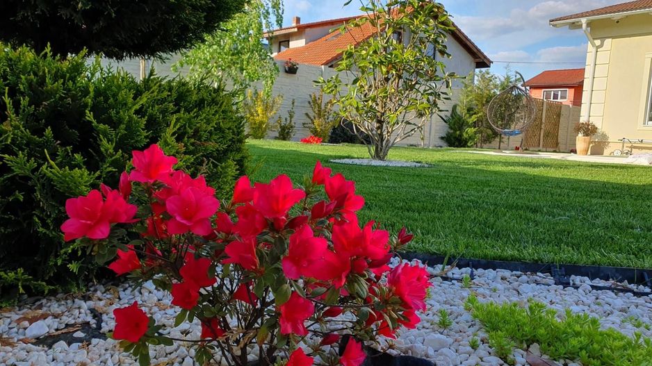 Casa individuala pe plan parter in Sanandrei - Poză 4