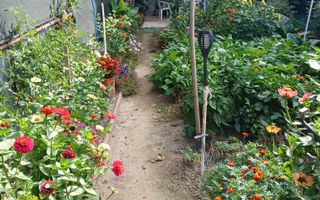 Casa de vanzare | 146mp | Zona 14 Mai - Poză 34