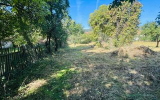 TEREN INTRAVILAN 3234 MP LEREȘTI VOINEȘTI ARGEȘ - Poză 13