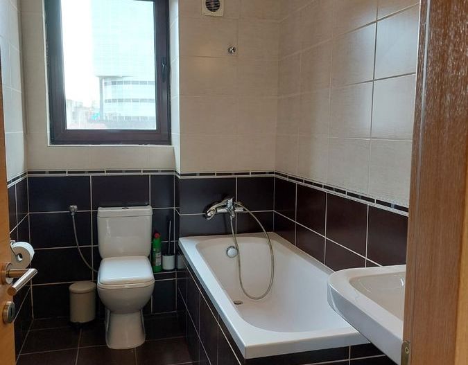 Apartament Parc Kiseleff/Piata Victoriei - Poză 8