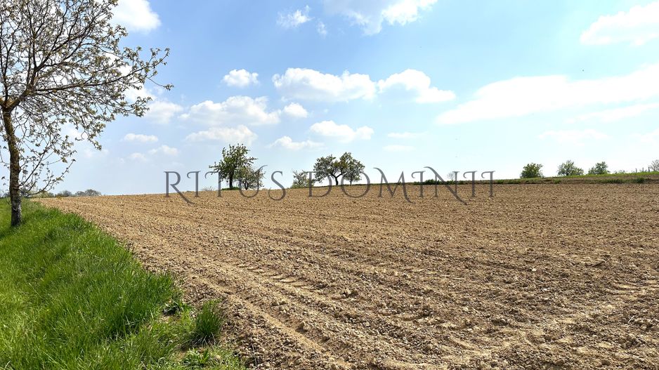 Teren Intravilan de Vânzare, Cetariu, 5450mp - Poză 3