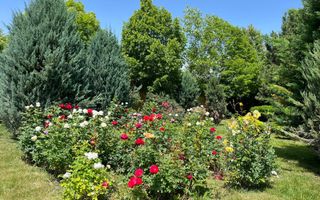 Vilă de lux mobilata/utilata cu terasa+foisor, garaj,gradina si livada - Poză 16